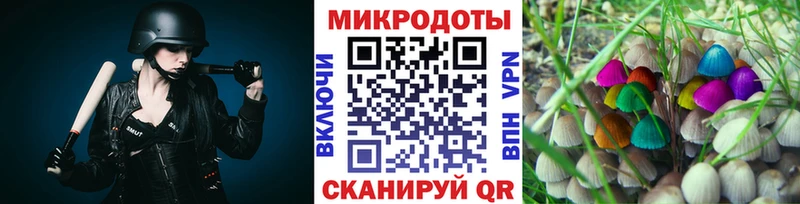 Галлюциногенные грибы Cubensis Чекалин